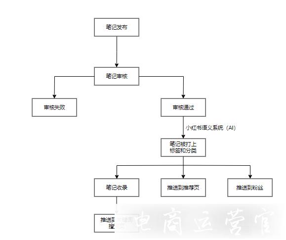 小紅書筆記收錄的意義是什么?為什么筆記不收錄?